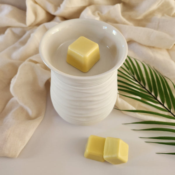 Sample Size Pure Beeswax Melts