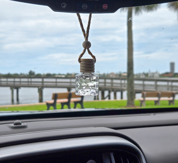 Hanging Car Diffusers