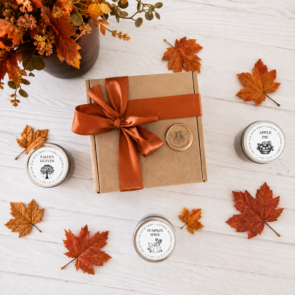 Fall Collection Discovery Set